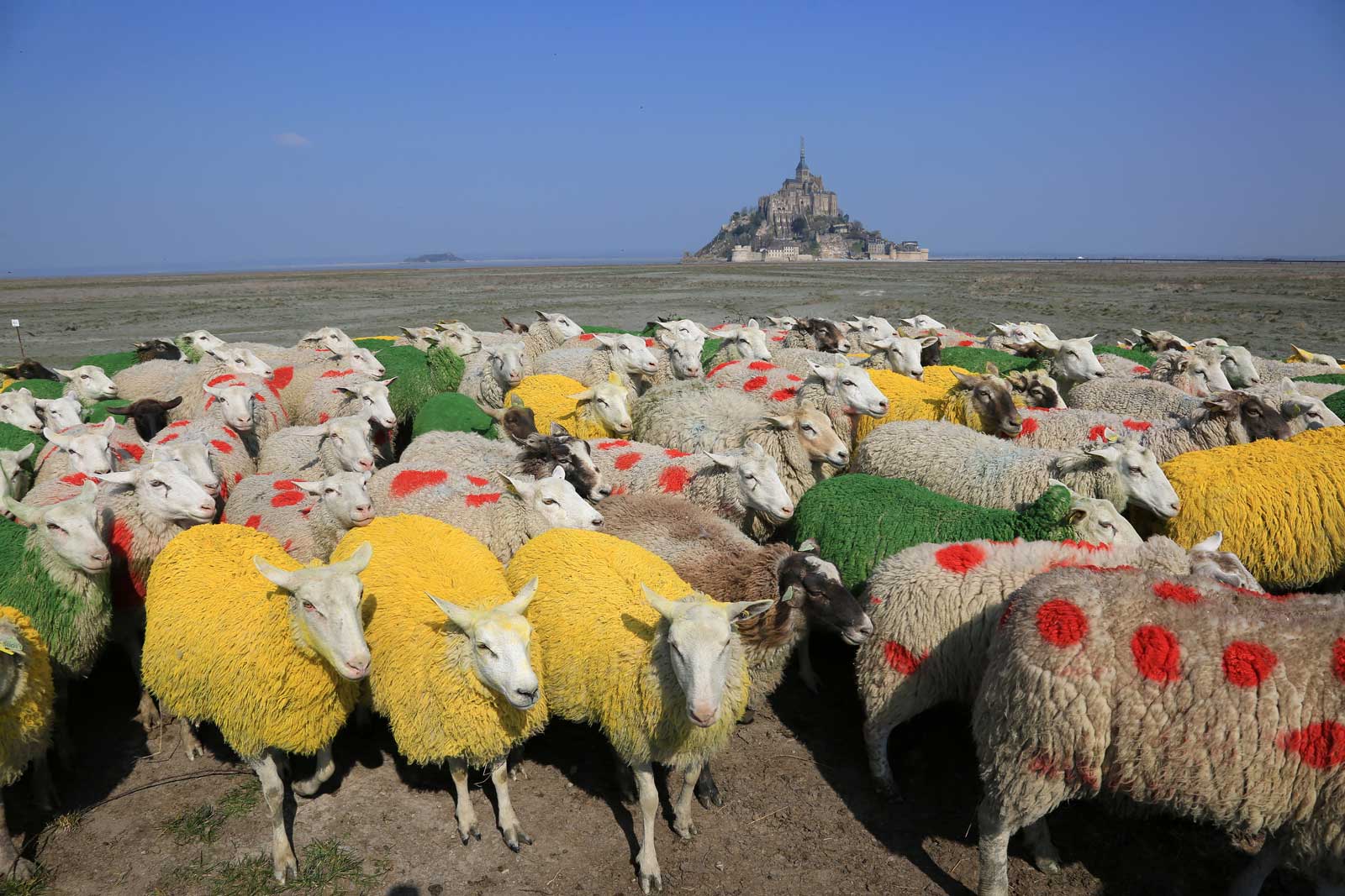 Tour de France 2023 Notebook