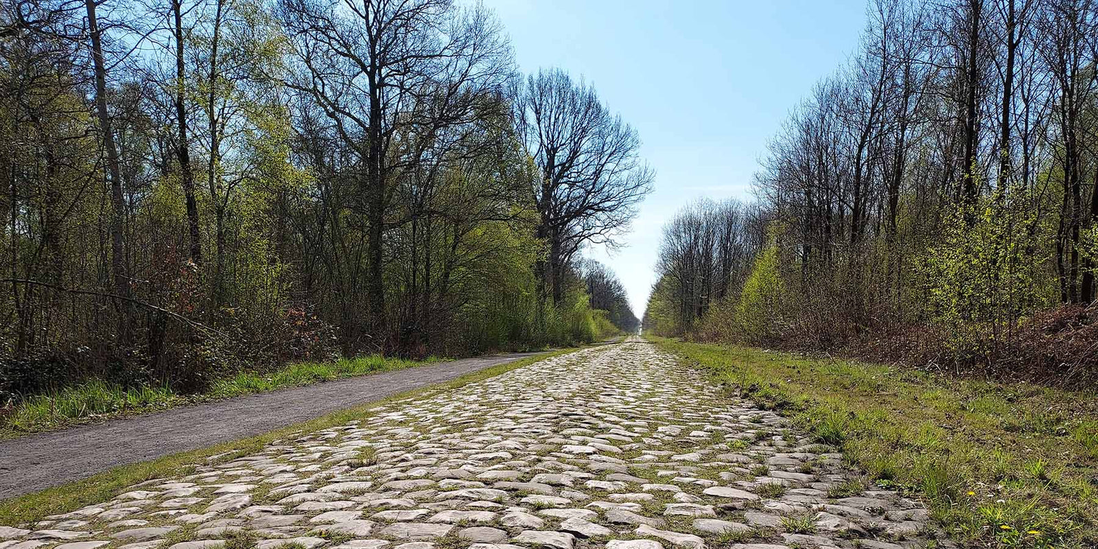 2025 Paris–Roubaix - Watch out for the Bidons!