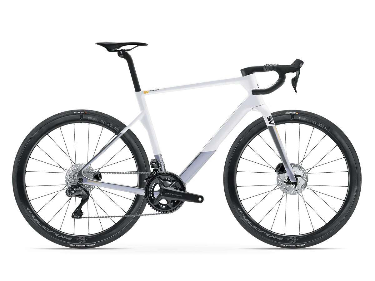 Basso SV Disc Frameset