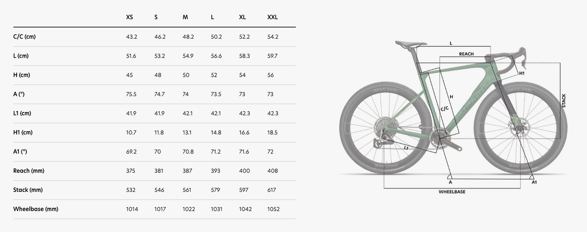 Wilier Triestina Rave SLR ID2