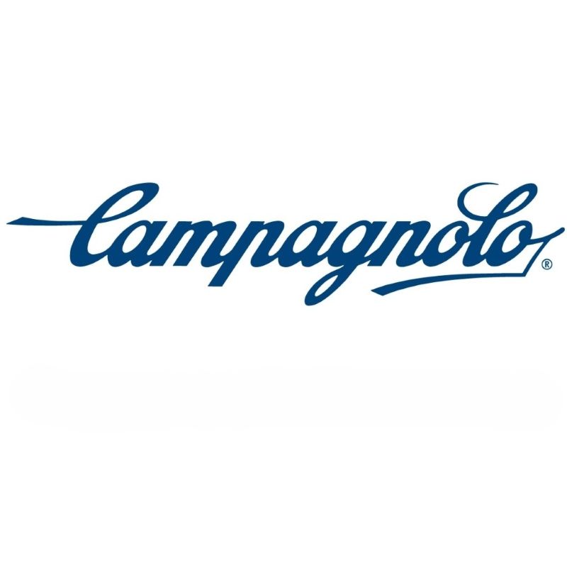 Campagnolo SR 13s Rear Derailleur Pulleyset