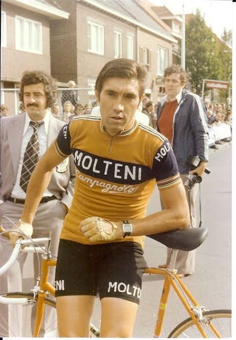 La Bicicletta Toronto Vintage Jersey Molteni
