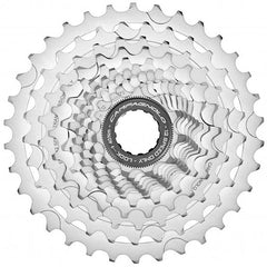 CS_-_Chorus_12_240x.jpg?v=